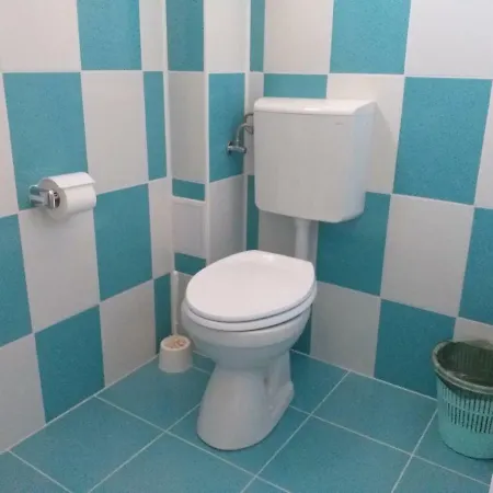 Guest house Vila Catalin Costinesti