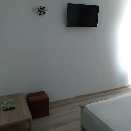 Vila Catalin Guest house *